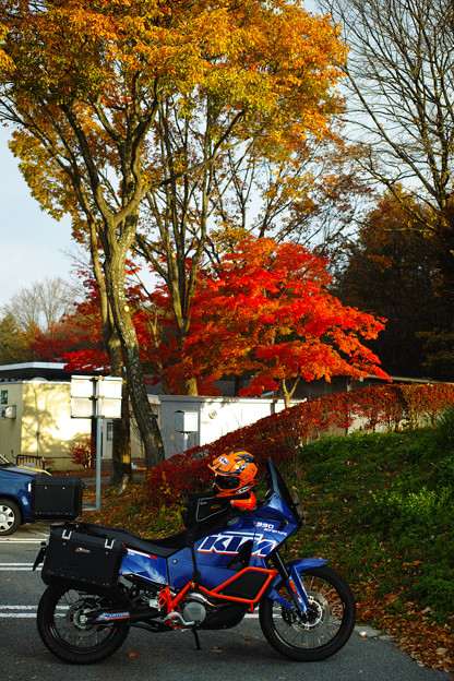 SDIM0268