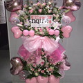 Photos: ZeppDiverCityTOKYO　nqrse 様へ