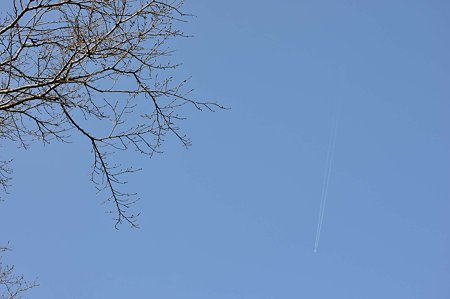 DSC_0855L