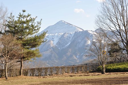 DSC_1254L