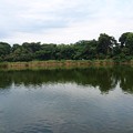 Photos: 神池