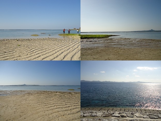 美ら海