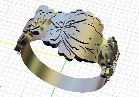 ring2