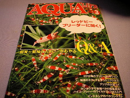 アクアライフ3月号2010 01