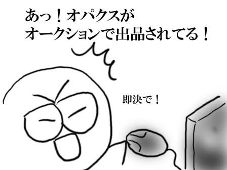 00300 オパクス買っていい?