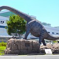 Photos: 福井～恐竜^^