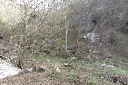 0754oiz113