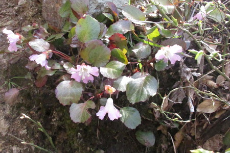 0820oiz119