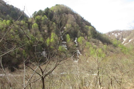 0754olz114
