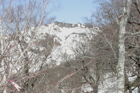 1304oiz164