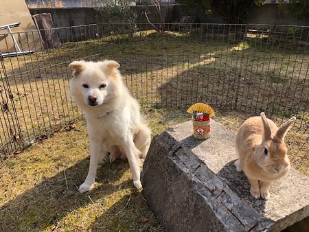 新年挨拶