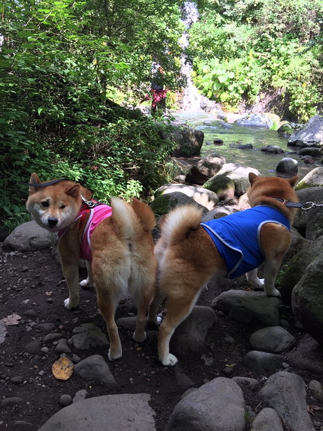 Photos: 水遊び6
