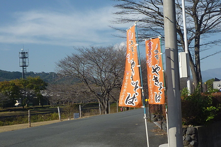 P1000572