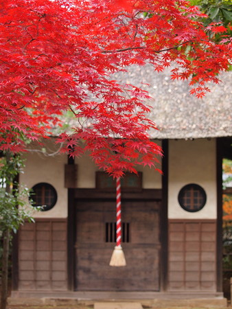 20141124P7 (1)