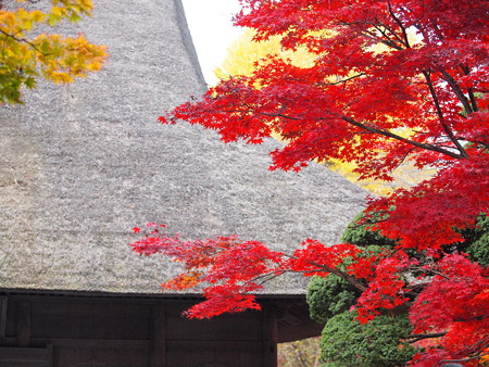 20141124P7 (8)