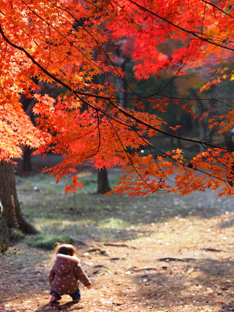 20141124P7 (11)