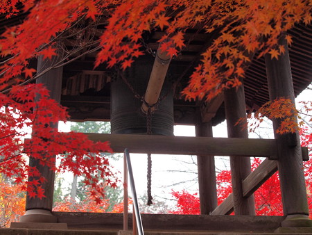 20141124P7 (13)