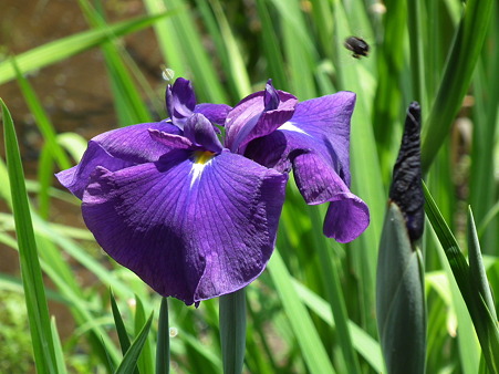 DSCF0099