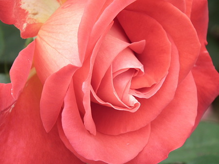 DSCF0296