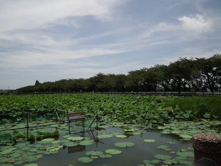 DSCF0158