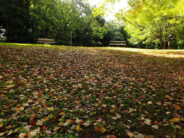 DSCF0155