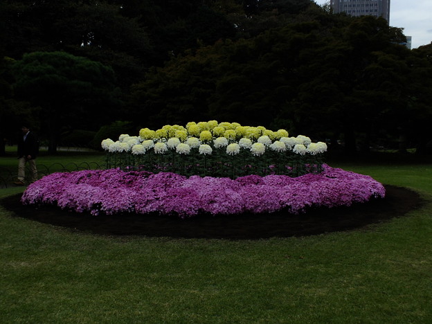 DSCF0024