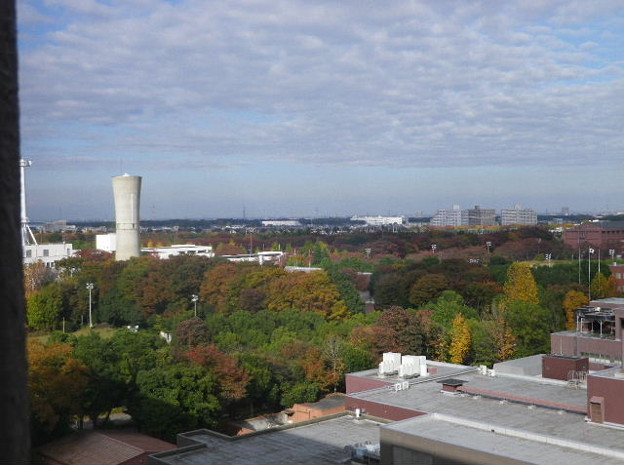 IMGP0064
