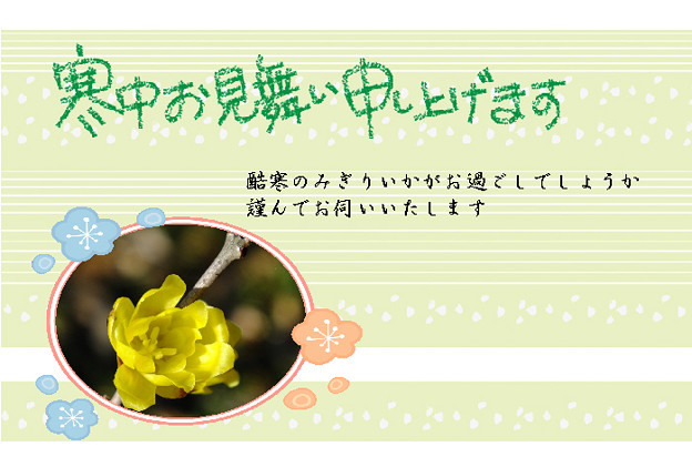 寒中4