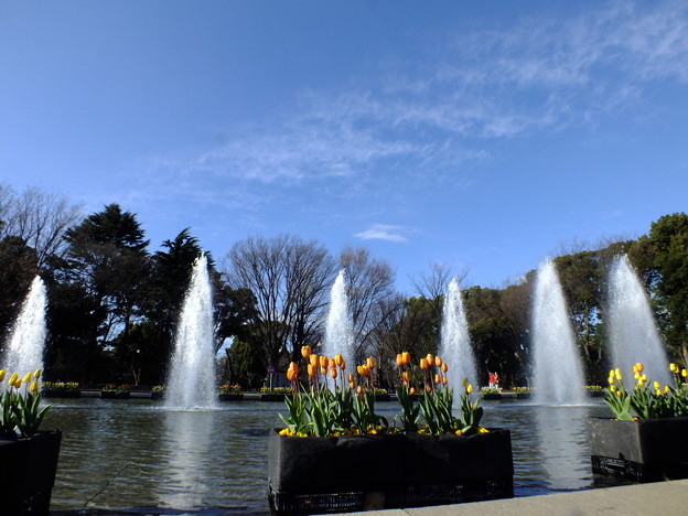 DSCF0385