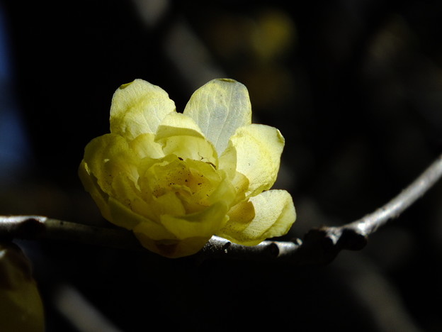 DSCF0157