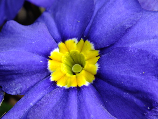 DSCF0033