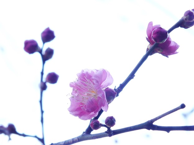 DSCF0170