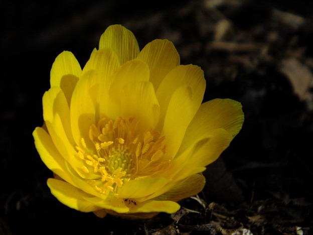 DSCF0136
