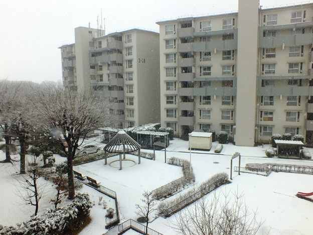 DSCF0067