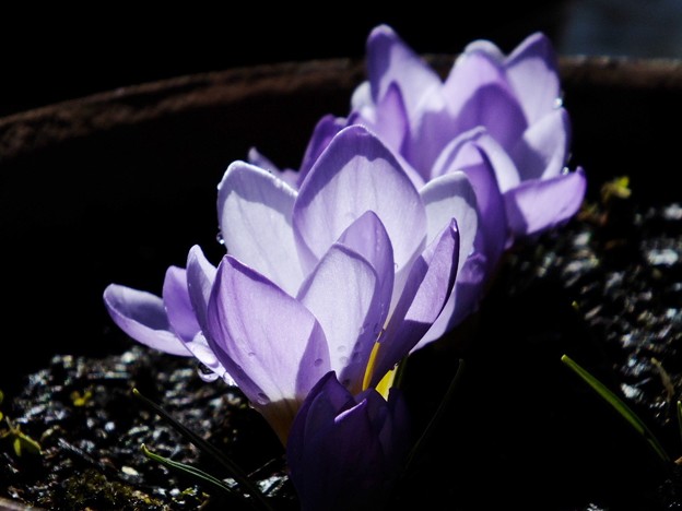 DSCF0065