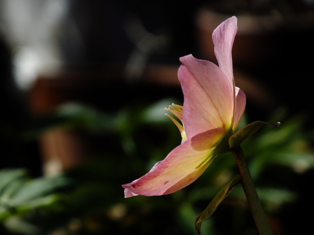 DSCF0156