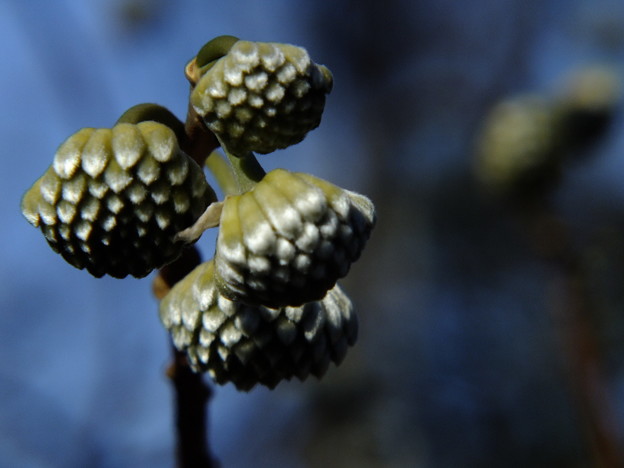 DSCF0209