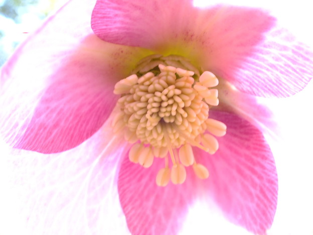 DSCF0026