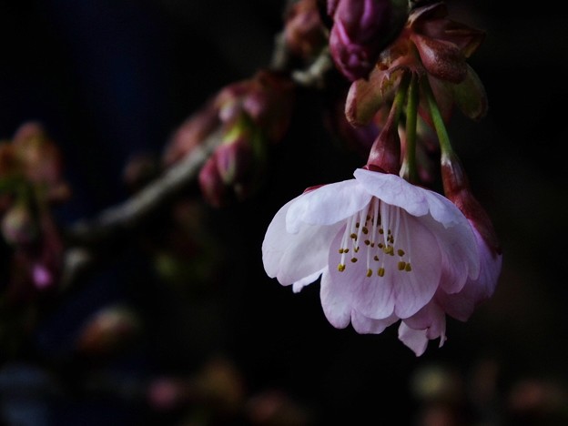 DSCF0373