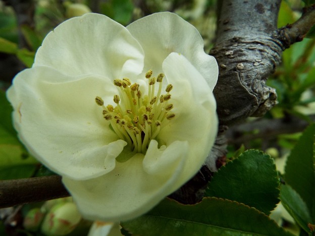 DSCF0435