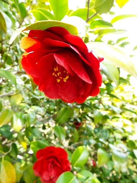 DSCF0283