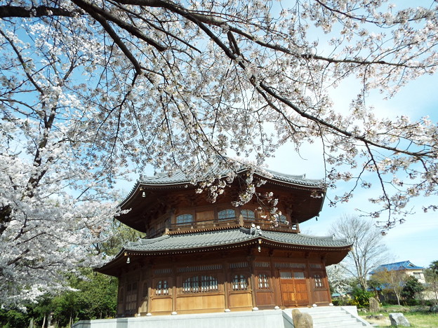 DSCF0461