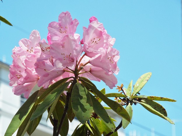 DSCF0072