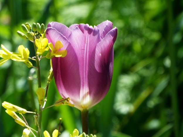DSCF0178