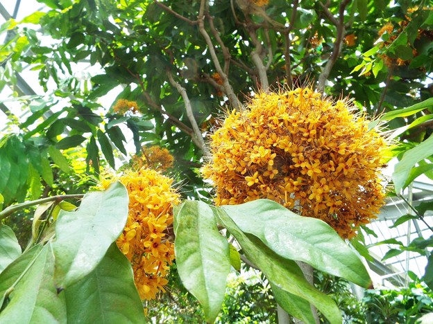 DSCF0075