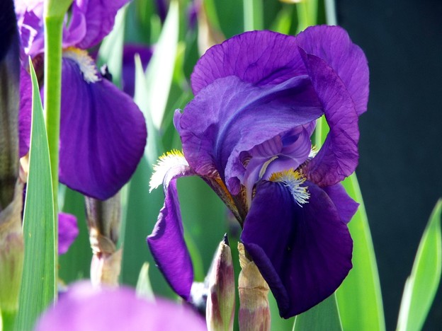 DSCF0391