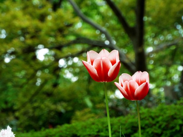 DSCF0345