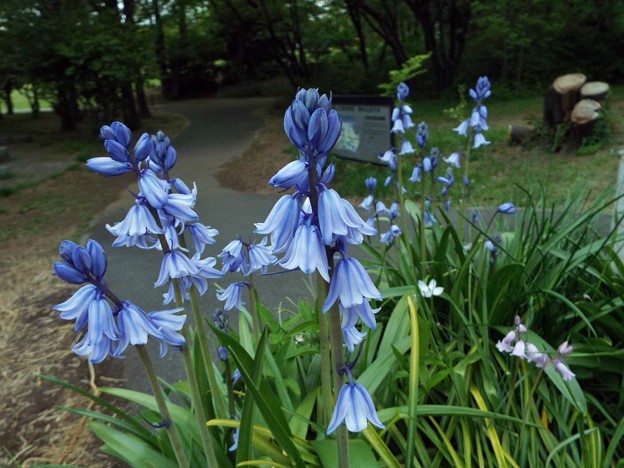 DSCF0446