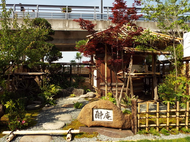 DSCF0193