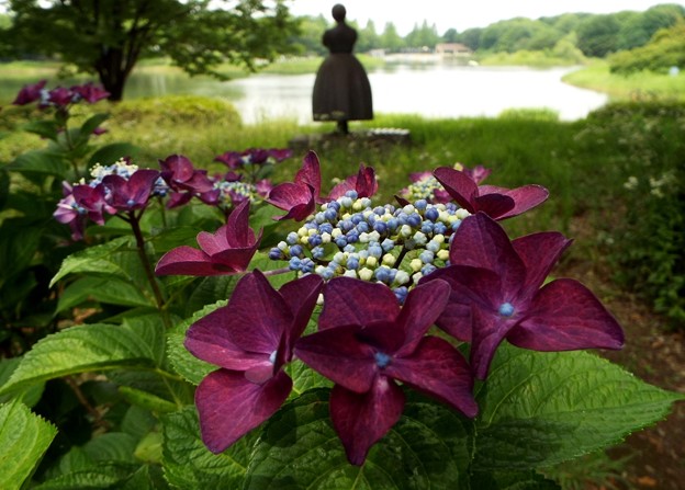 DSCF0272